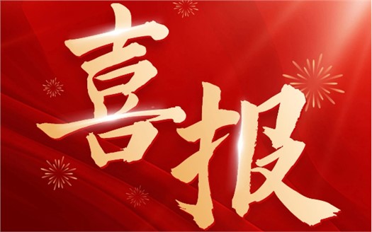 集團(tuán)榮膺2025中國(guó)民營(yíng)企業(yè)500強(qiáng)第249位，制造業(yè)民營(yíng)企業(yè)500強(qiáng)第177位，排名較去年雙雙大幅提升